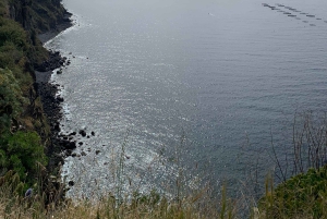 Vanuit Funchal: jeeptour met open dak en wijnproeverij op Madeira