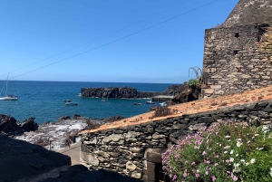 Vanuit Funchal: jeeptour met open dak en wijnproeverij op Madeira