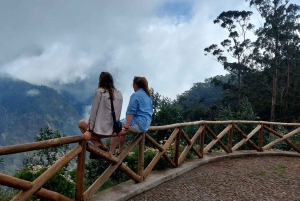 Vanuit Funchal: jeeptour met open dak en wijnproeverij op Madeira