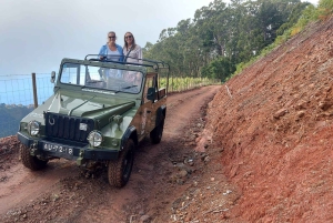 Vanuit Funchal: jeeptour met open dak en wijnproeverij op Madeira