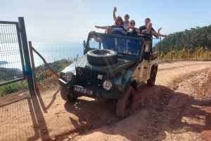 Vanuit Funchal: jeeptour met open dak en wijnproeverij op Madeira