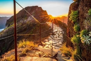 From Funchal: Pico do Areiro and Pico Ruivo Hiking Tour