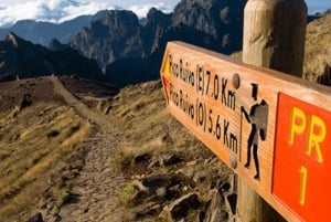 From Funchal: Pico do Areiro and Pico Ruivo Hiking Tour