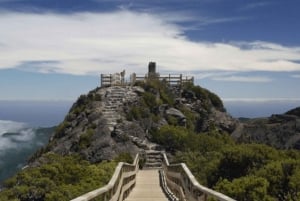 From Funchal: Pico do Areiro and Pico Ruivo Hiking Tour