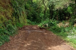 From Funchal: Pico Do Arieiro and Santana Full-Day 4x4 Tour