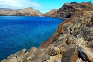 From Funchal: Ponta de São Lourenço/Caniçal Full-Day Hike