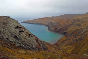 From Funchal: Ponta de São Lourenço/Caniçal Full-Day Hike