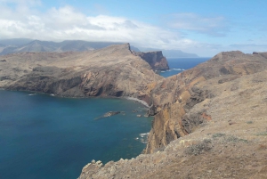 Von Funchal aus: Ponta de São Lourenço/Caniçal Ganztageswanderung