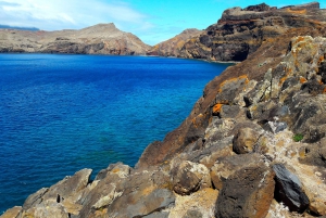 Von Funchal aus: Ponta de São Lourenço/Caniçal Ganztageswanderung