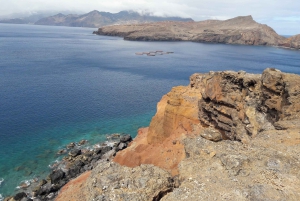 Von Funchal aus: Ponta de São Lourenço/Caniçal Ganztageswanderung