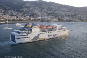 Från Funchal: 1-dagsutflykt med kryssning till Porto Santo