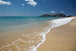 Från Funchal: 1-dagsutflykt med kryssning till Porto Santo