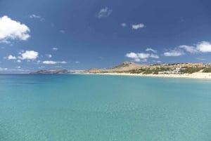 Från Funchal: 1-dagsutflykt med kryssning till Porto Santo