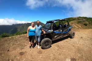 Från Funchal: Privat buggytur, Skywalk, stigar och bergstoppar