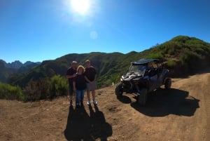 Från Funchal: Privat buggytur, Skywalk, stigar och bergstoppar