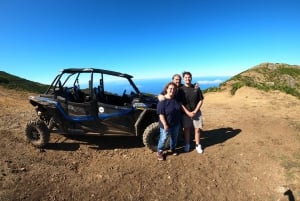 Från Funchal: Privat buggytur, Skywalk, stigar och bergstoppar