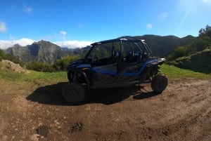 Från Funchal: Privat buggytur, Skywalk, stigar och bergstoppar