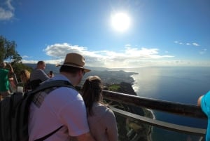 Från Funchal: Privat buggytur, Skywalk, stigar och bergstoppar