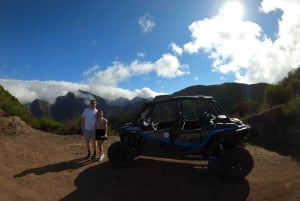 Från Funchal: Privat buggytur, Skywalk, stigar och bergstoppar