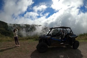 Från Funchal: Privat buggytur, Skywalk, stigar och bergstoppar