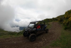 Från Funchal: Privat buggytur, Skywalk, stigar och bergstoppar