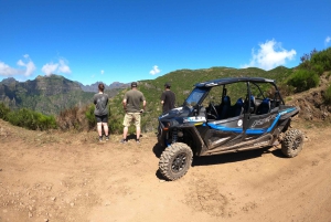 Funchalista: Yksityinen buggy-retki, Skywalk, polut ja huiput