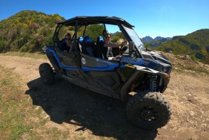 Funchalista: Yksityinen buggy-retki, Skywalk, polut ja huiput