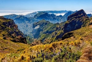 From Funchal: Private Eastern or Western Jeep Tour