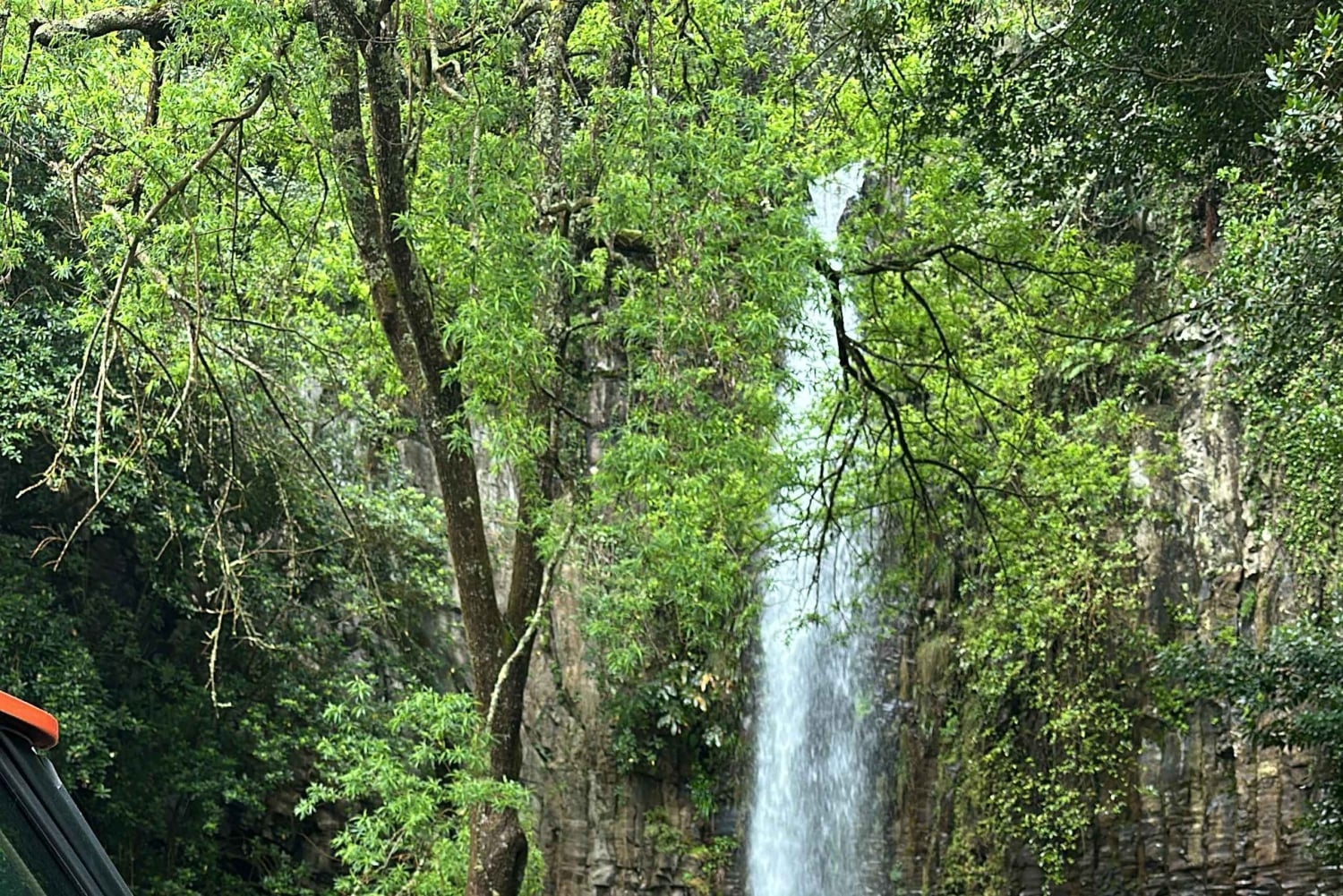 Vanuit Funchal: privétour in een jeep door het oosten of westen