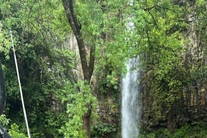 From Funchal: Private Eastern or Western Jeep Tour