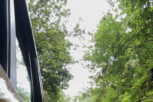 From Funchal: Private Eastern or Western Jeep Tour