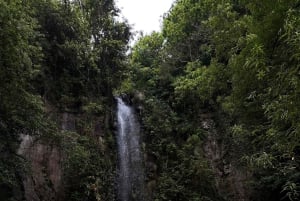 From Funchal: Private Eastern or Western Jeep Tour