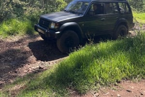 From Funchal: Private Eastern or Western Jeep Tour