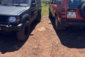 From Funchal: Private Eastern or Western Jeep Tour