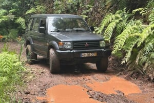From Funchal: Private Eastern or Western Jeep Tour