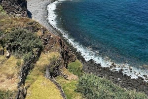 From Funchal: Private Eastern or Western Jeep Tour