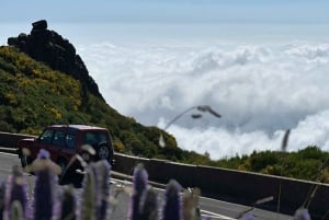 From Funchal: Private Eastern or Western Jeep Tour