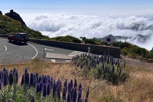 From Funchal: Private Eastern or Western Jeep Tour