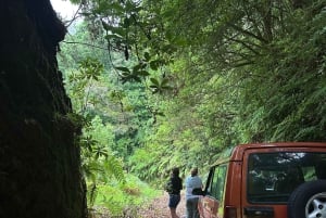 From Funchal: Private Eastern or Western Jeep Tour