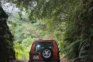 From Funchal: Private Eastern or Western Jeep Tour