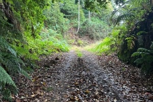 From Funchal: Private Eastern or Western Jeep Tour