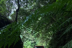 From Funchal: Private Eastern or Western Jeep Tour