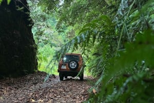 From Funchal: Private Eastern or Western Jeep Tour