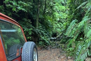 From Funchal: Private Eastern or Western Jeep Tour