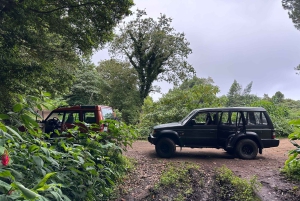 Vanuit Funchal: privétour in een jeep door het oosten of westen