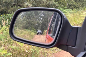 Vanuit Funchal: privétour in een jeep door het oosten of westen