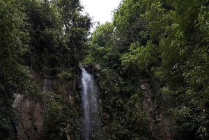 Vanuit Funchal: privétour in een jeep door het oosten of westen