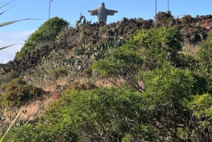 Vanuit Funchal: privétour in een jeep door het oosten of westen