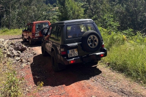 Vanuit Funchal: privétour in een jeep door het oosten of westen