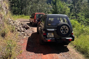 Vanuit Funchal: privétour in een jeep door het oosten of westen